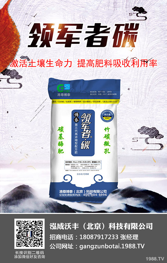 大棚土豆種植更高溫度多少？大棚馬鈴薯如何種植效益高？