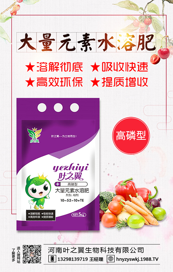 薄荷生長習(xí)性有哪些?薄荷的田間管理要點(diǎn)!