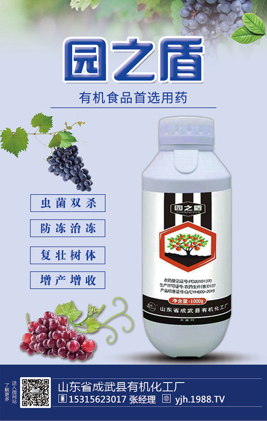 甘蔗需肥特性，甘蔗施肥技術(shù)和要點(diǎn)！