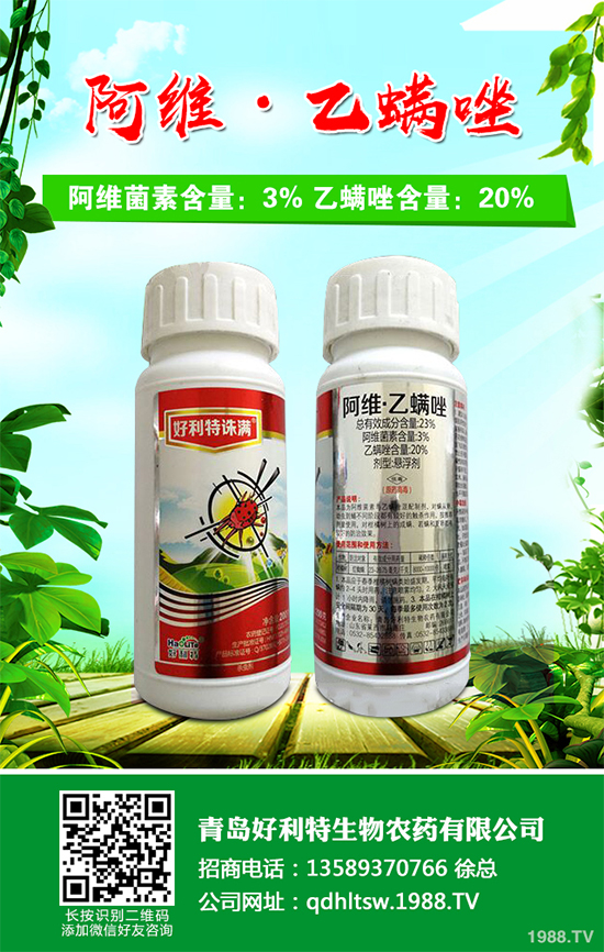 卷心菜能在陽臺上種植中嗎？卷心菜家庭種植技術(shù)要點(diǎn)