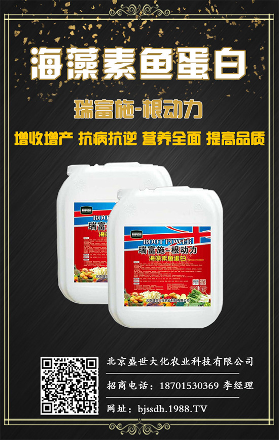 土茯苓是什么植物？土茯苓的功效與作用有哪些？