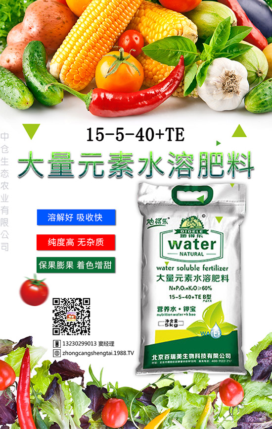 仙人球這樣養(yǎng)才不會(huì)死！金琥繁殖及栽培養(yǎng)殖管理！