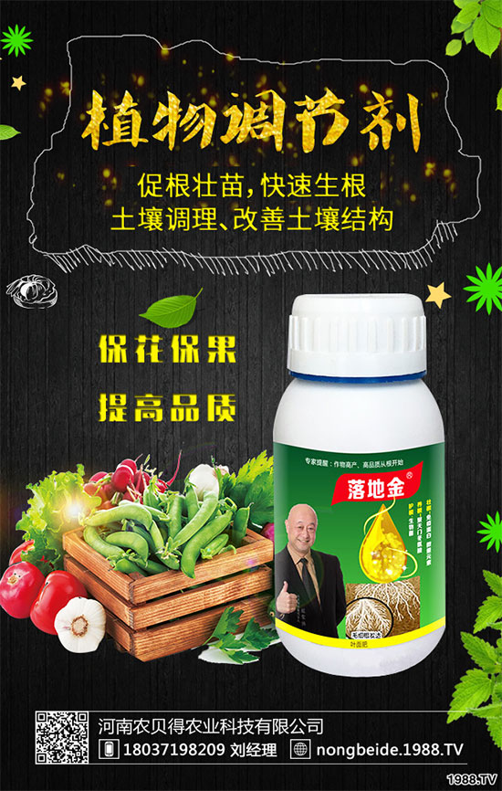 小香芹有哪些食用價值？小香芹的形態(tài)特征！