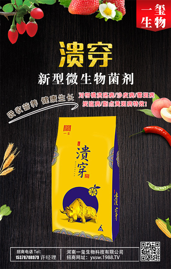 爬山虎的繁殖方法,爬山虎如何養(yǎng)護?