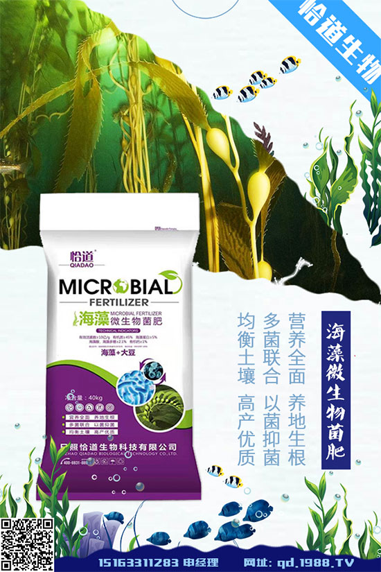 花生什么時(shí)間種植？花生高產(chǎn)種植方法！