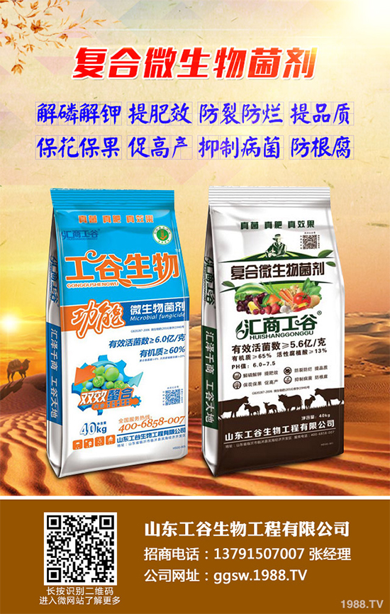 小麥條銹病正在肆虐，農(nóng)戶(hù)到底該咋辦？關(guān)鍵還是靠預(yù)防！