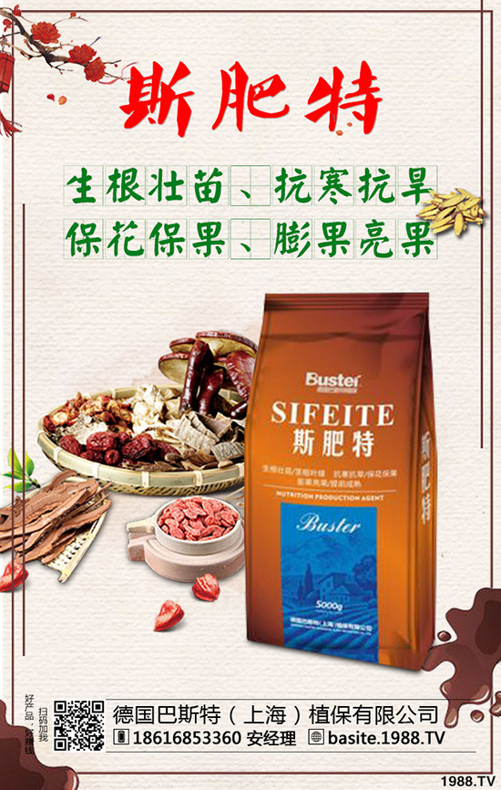 西瓜苗幾月份移栽，西瓜苗定植移栽技術(shù)及注意事項(xiàng)！