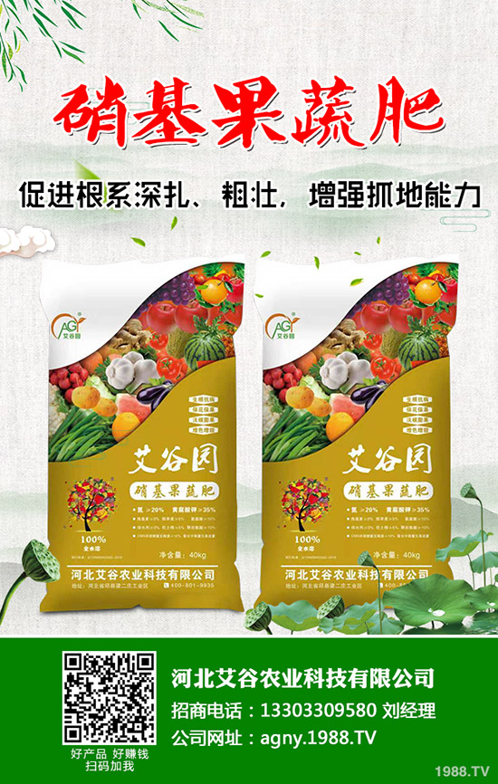     五一假期后，鉀肥行情開始回轉(zhuǎn)！2020年5月11日最新鉀肥價格早報！