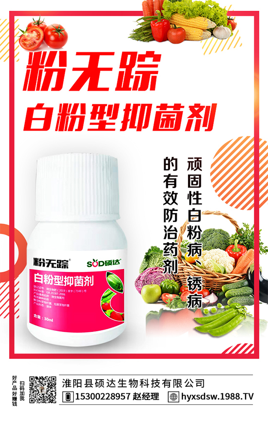 板栗怎么種植？板栗種植技術要點！