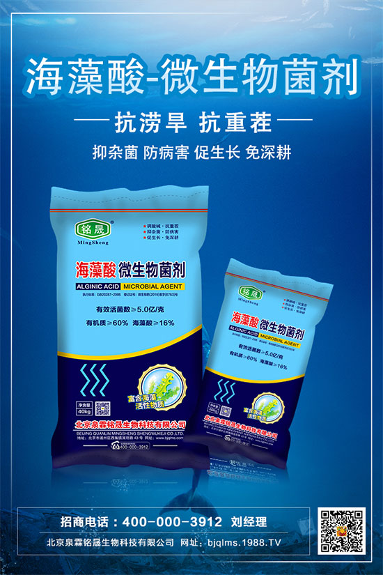     板栗只開花不結(jié)果是什么原因？板栗不掛果的解決措施！