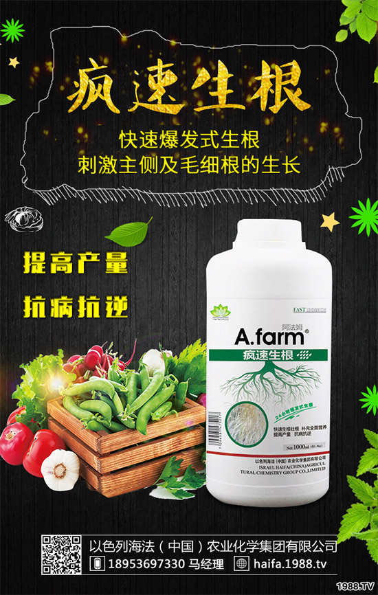 葡萄裂果是啥原因？該如何預(yù)防？葡萄裂果的原因和防治方法