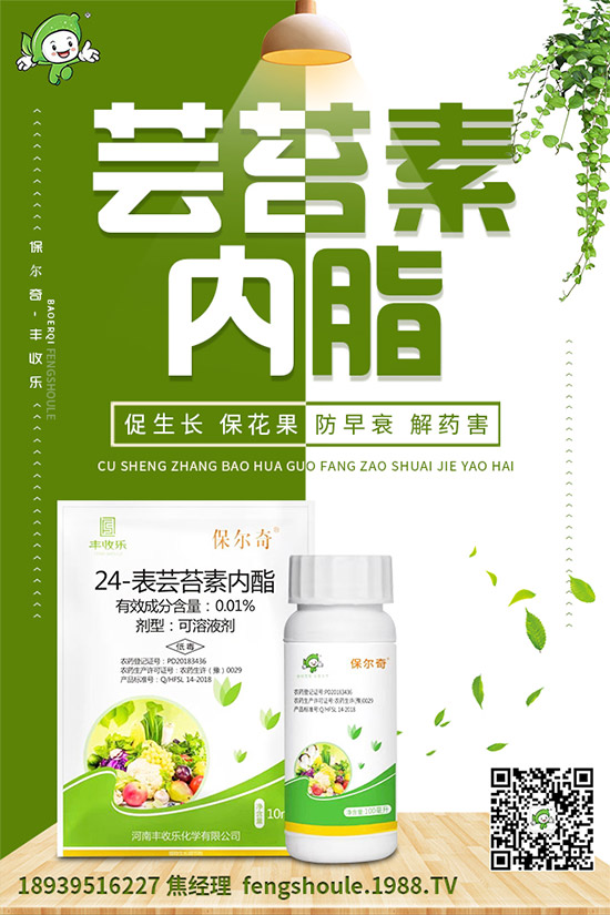 草珊瑚該怎么種植？如何種植能高產(chǎn)？草珊瑚高產(chǎn)種植技術(shù)