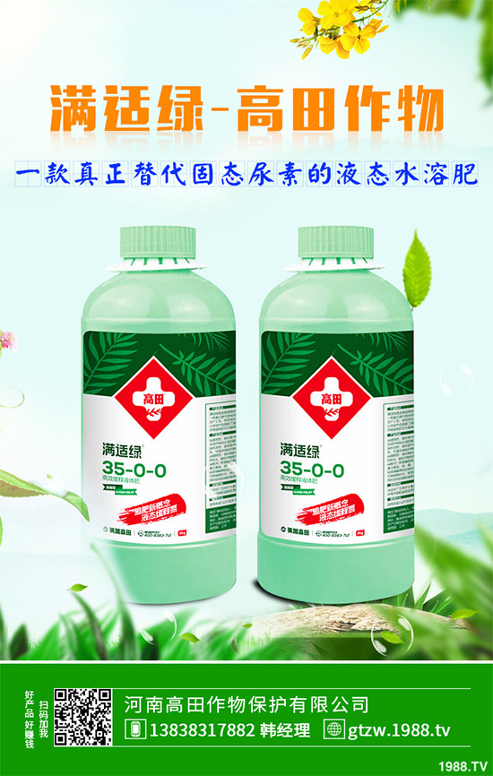 草珊瑚有哪些神奇功效？中藥材草珊瑚的作用及功效！