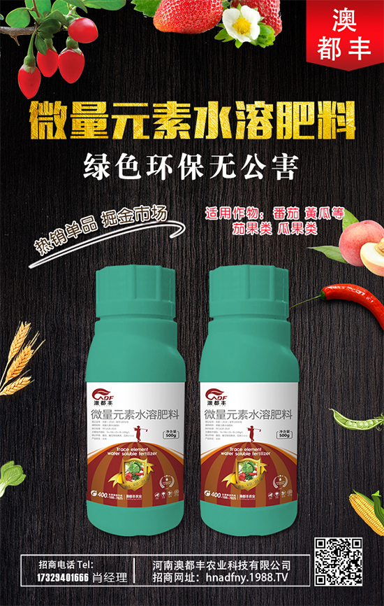 甜瓜什么時間種植好?甜瓜種植技術(shù)要點!