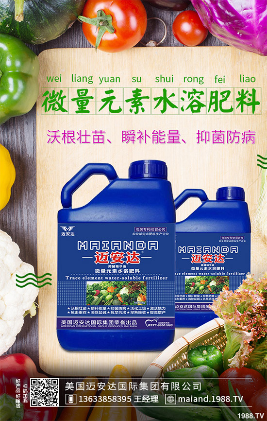 蒲公英育苗措施怎么做？蒲公英生長特點(diǎn)及適宜環(huán)境！