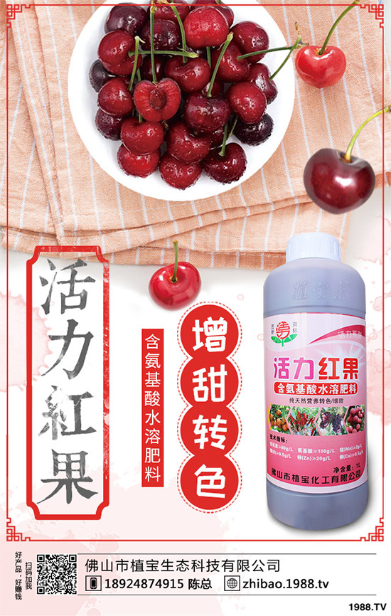 一銨訂單仍顯不佳!最新磷銨價格行情日報