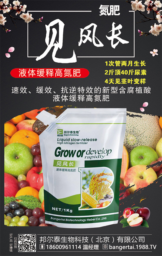 金錢(qián)草有哪些生長(zhǎng)習(xí)性?金錢(qián)草怎么種植?