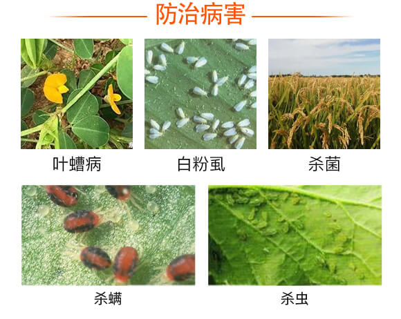 硫磺懸浮液體替代品-戰(zhàn)粉·硫-強(qiáng)農(nóng)生物_03