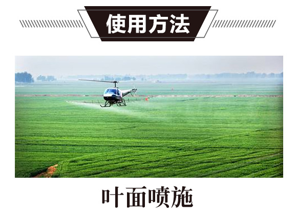 碳氫核肥-綠藻門-碳氫國際_02