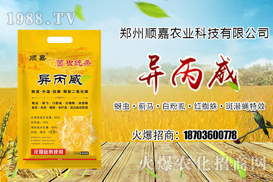 四氯蟲(chóng)酰胺對(duì)草地貪夜蛾具有良好的防治效果