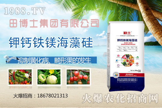 花生重茬會(huì)產(chǎn)生哪些影響?如何解決花生重茬問題?