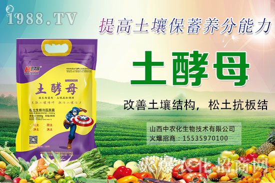 葡萄套袋有哪些好處，葡萄套袋技術(shù)要點(diǎn)及注意事項(xiàng)！