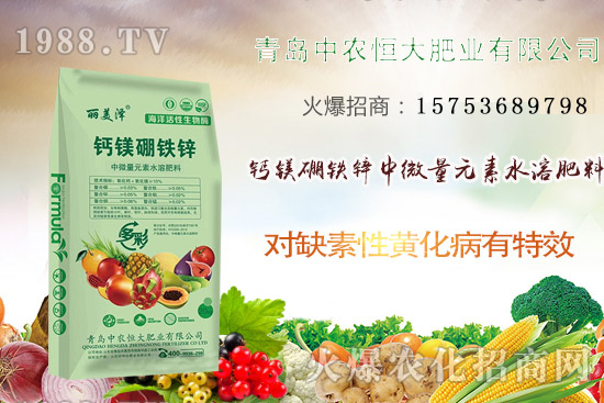 韭菜什么時(shí)候播種？韭菜市場(chǎng)前景如何？（附種植成本及利潤(rùn)分析）