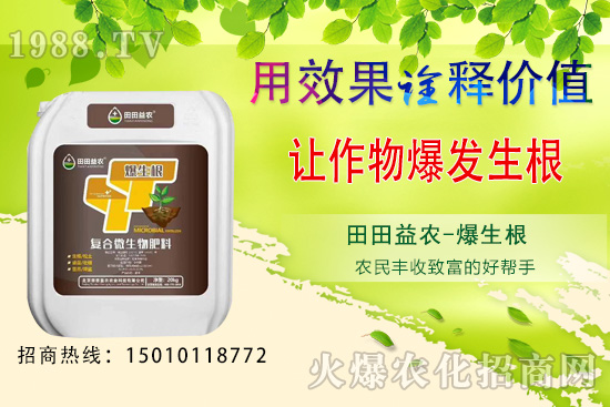 六月可以種植的蔬菜有哪些？六月種蔬菜管理要點！