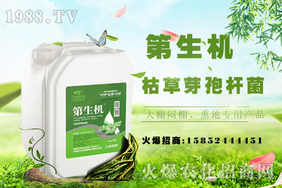 桃樹嫁接常用工具,桃樹嫁接后注意事項!