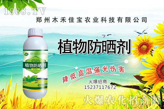 芽苗菜種植前景怎么樣，芽苗菜種植技術(shù)有哪些？