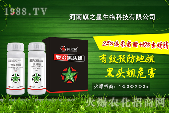 什么是韭蛆,韭蛆發(fā)生規(guī)律,韭蛆無公害防治方法!