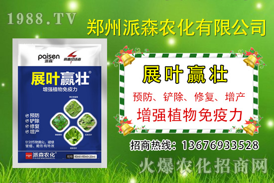 秋黃瓜什么時(shí)候種，秋黃瓜的種植時(shí)間及管理方法！