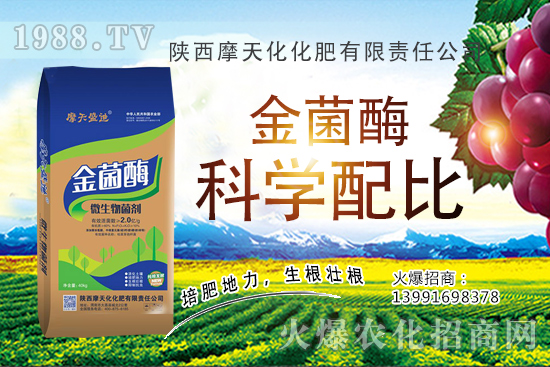 種一畝蘋(píng)果的成本是多少,有多少利潤(rùn)?蘋(píng)果種植技術(shù)與管理!