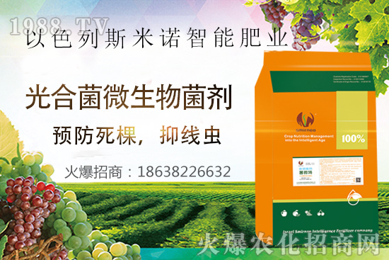 根結(jié)線蟲危害大，太難防？“菌微特”來幫忙！抑制線蟲和蟲卵，干凈！