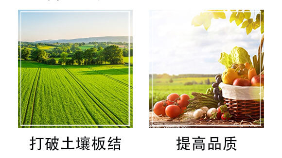 中微量元素微生物菌劑-硅鈣鋅鎂肥-根之道_06