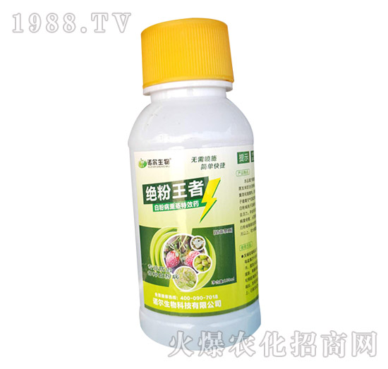 黃瓜白粉病發(fā)生嚴(yán)重，有沒(méi)有好的方法？黃瓜白粉病藥劑推薦！