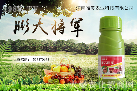 果實膨果慢、果實小怎么解決？果實膨果肥的選擇有哪些？