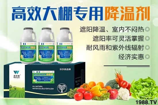 高溫對黃瓜有什么危害?大棚黃瓜降溫措施怎么做?