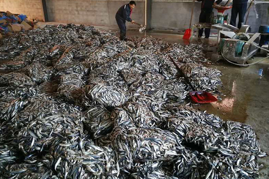 �~����ԭ�Ϲ���(y��ng)��