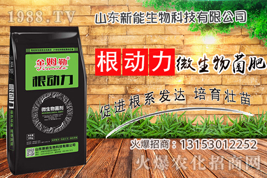 作物生根用什么肥？使用“微生物菌肥”有什么優(yōu)勢(shì)？