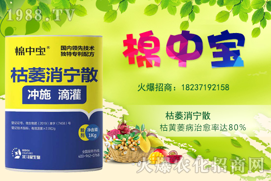 【品牌推薦】河南北斗星有什么優(yōu)勢(shì)？北斗星旗下產(chǎn)品有哪些？