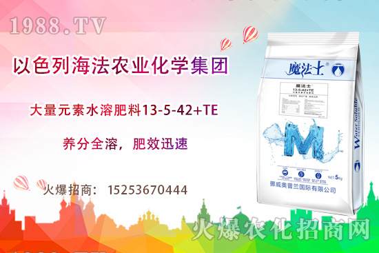海法農(nóng)業(yè)為啥這么牛？海法農(nóng)業(yè)生產(chǎn)特色是什么？主打哪些產(chǎn)品？