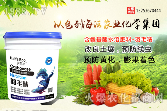 海法農(nóng)業(yè)為啥這么牛？海法農(nóng)業(yè)生產(chǎn)特色是什么？主打哪些產(chǎn)品？