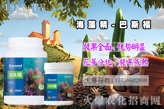  還不了解海藻精是啥？那你就真的out了！海藻精作用有多大？