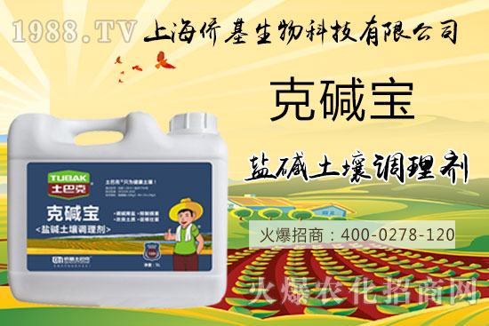 土壤鹽堿危害大，“克堿寶”消除鹽堿，還您一片沃土！