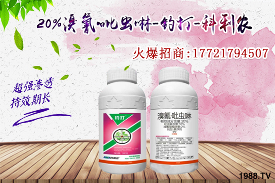 今年蚜蟲爆發(fā)太厲害！蚜蟲怎么打效果好？蚜蟲防治方法有哪些？