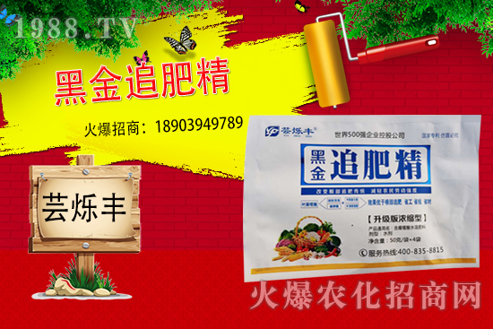 追肥不當(dāng)，作物減產(chǎn)！追肥為什么要用水溶肥呢？