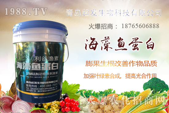 蔬菜定植如何緩苗快?蔬菜生根誤區(qū)有哪些?蔬菜生根壯苗肥推薦!