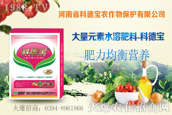 玉米空稈危害大,什么原因造成的?玉米空稈防控措施!