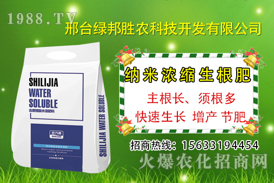番茄死棵究竟哪些原因所致，如何預(yù)防番茄死棵發(fā)生？
